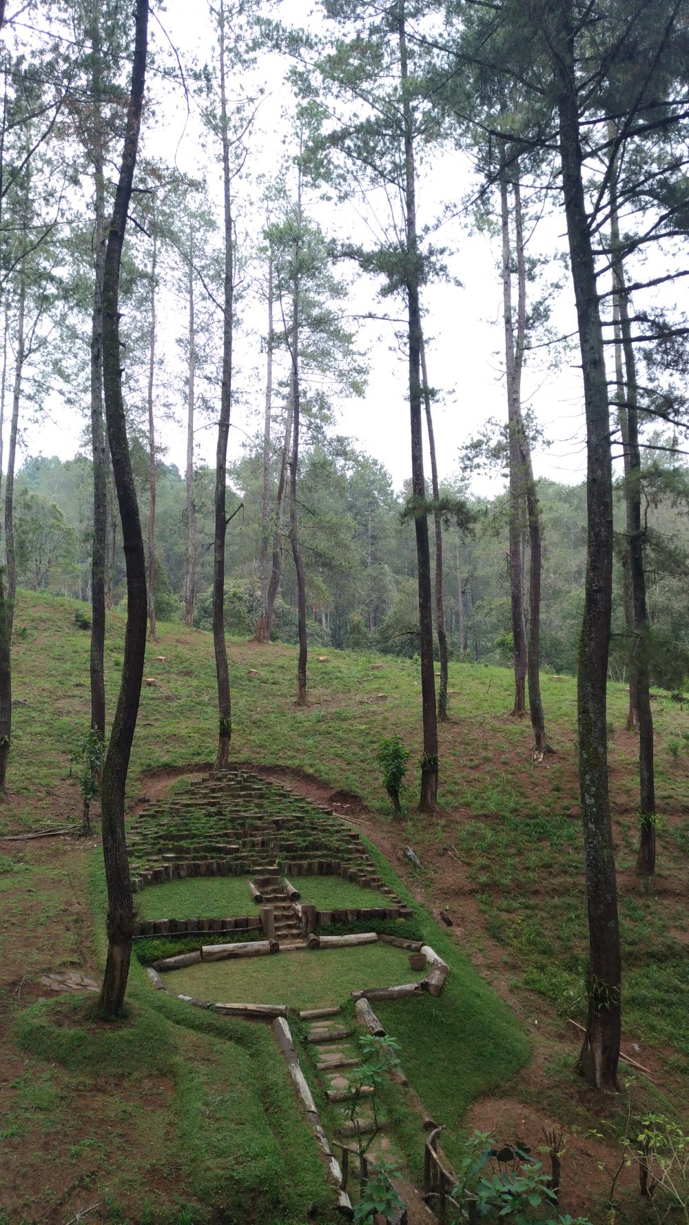 Orchid Forest Cikole Lembang Destinasi Wisata Bunga ...